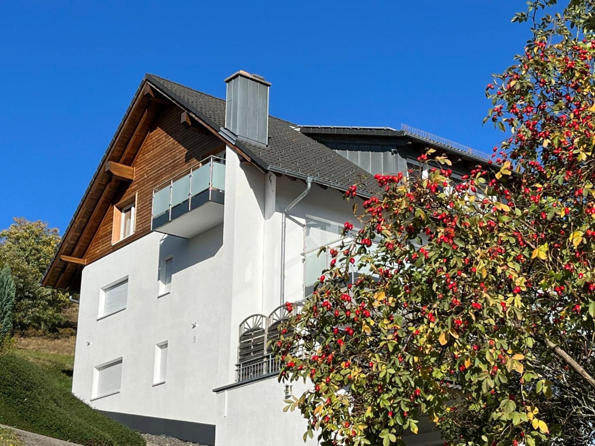 Apartment Schwarzwaldblick-1 Bernau im Schwarzwald Zewnętrze zdjęcie