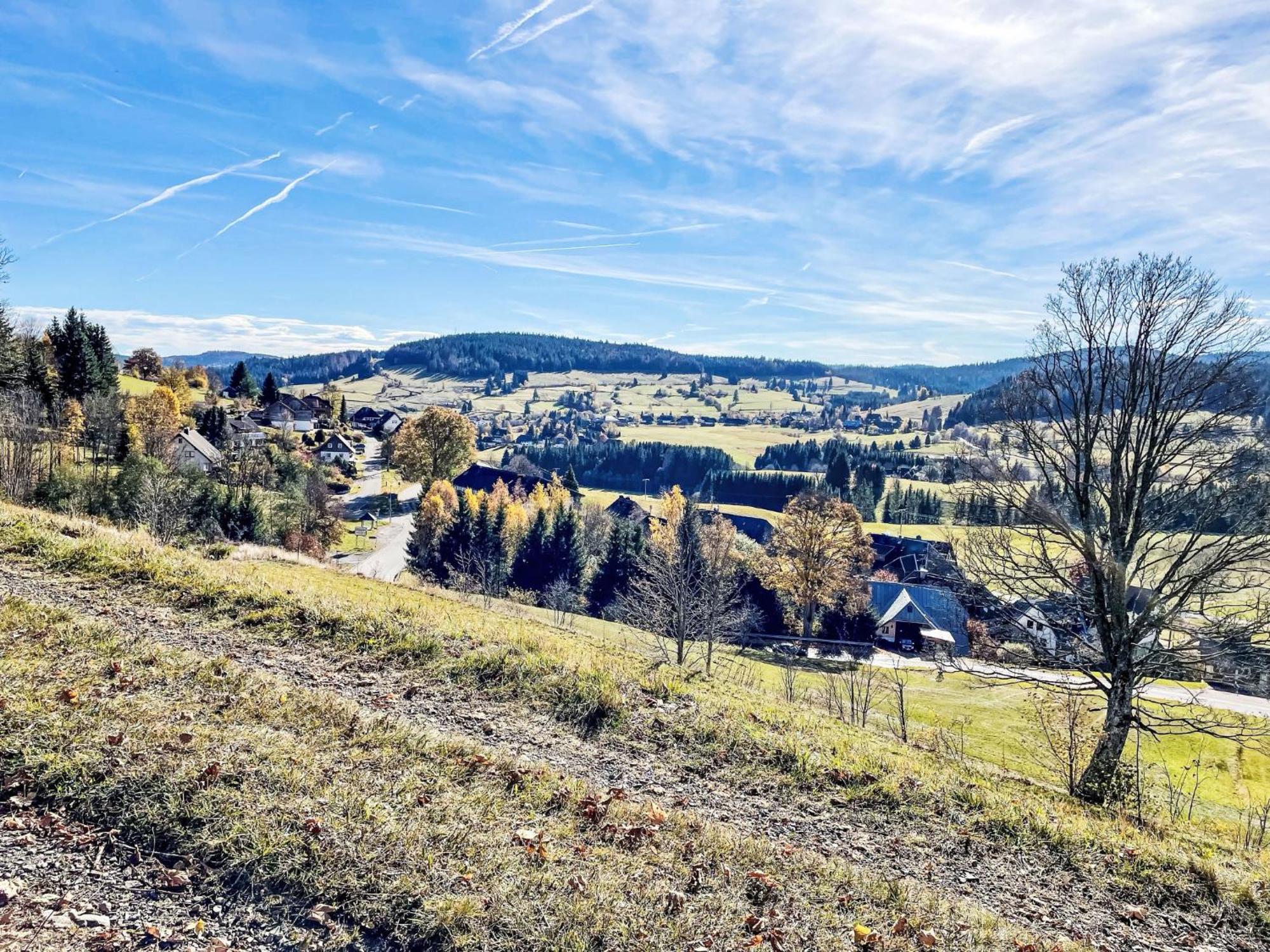 Apartment Schwarzwaldblick-1 Bernau im Schwarzwald Zewnętrze zdjęcie